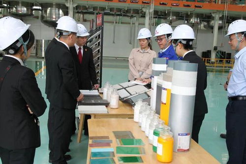 立足知識產權保護，協同企業創新發展——江州區法院舉辦新材料技術研發領域知識產權保護宣講座談會