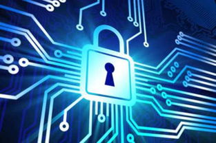 強化企業信息安全 聚焦網絡安全與網絡信息安全軟件開發